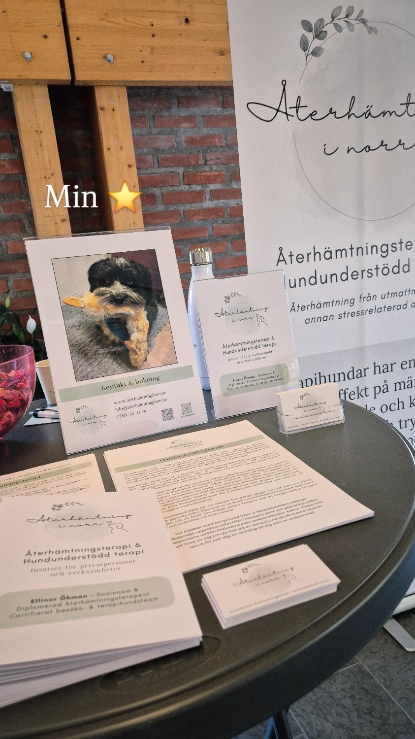 Återhämtningsterapi med terapihund 60 min