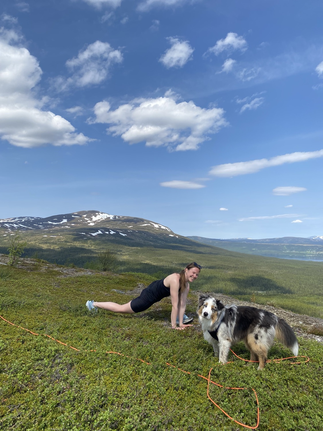 Slow flow lunch yoga med Laura