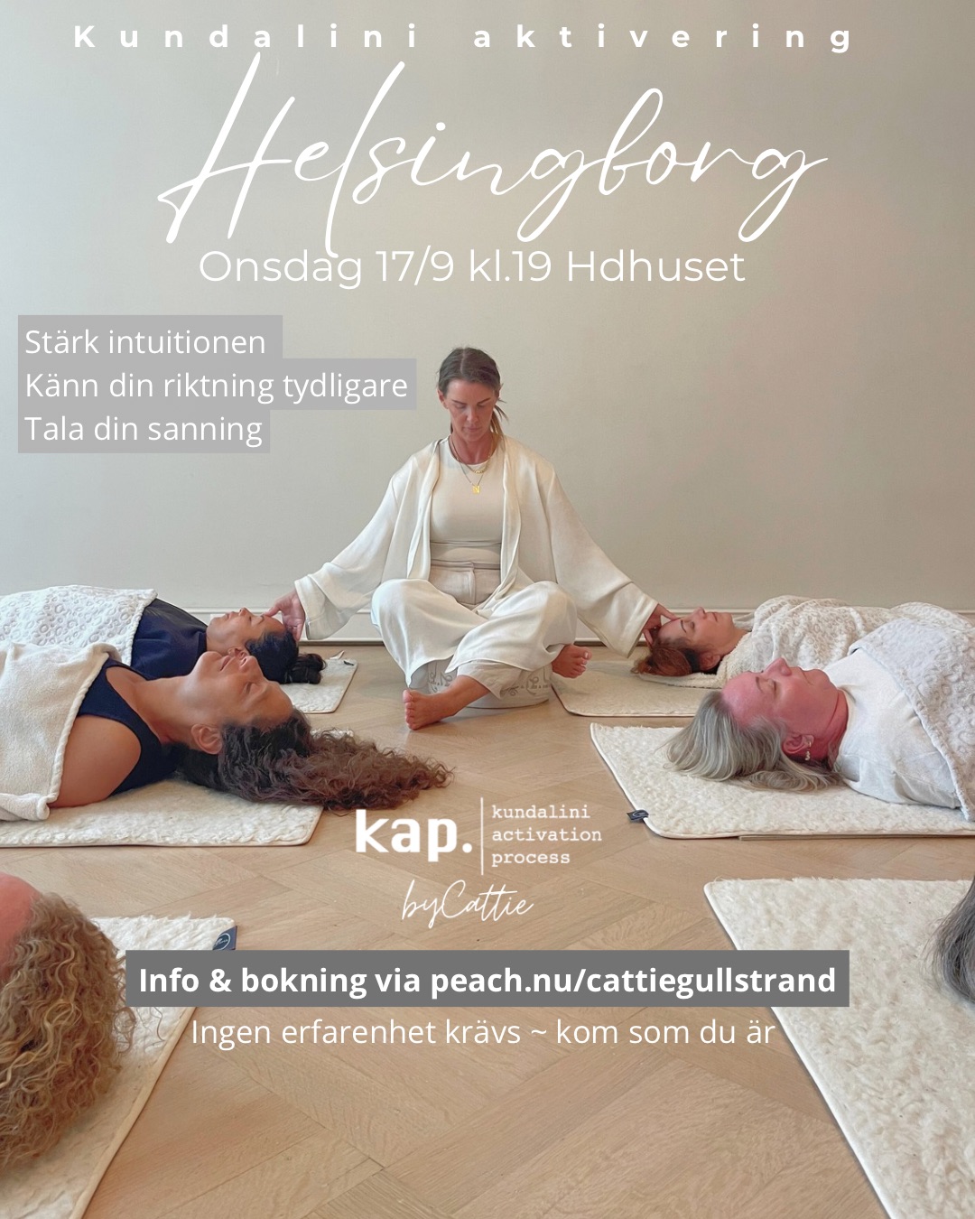 KAP ~ HELSINGBORG ~ HDhuset