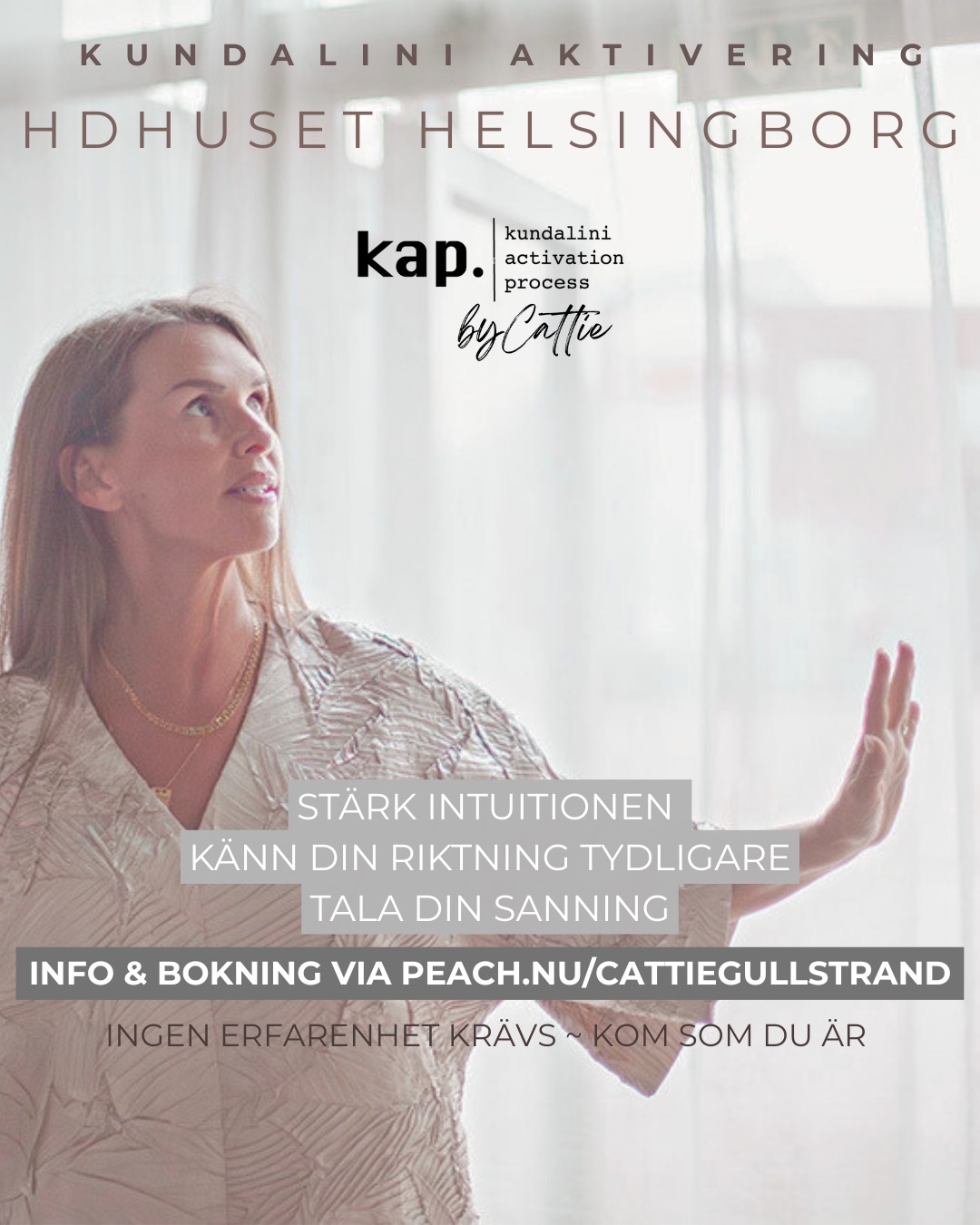 KAP ~ HELSINGBORG ~ HDhuset