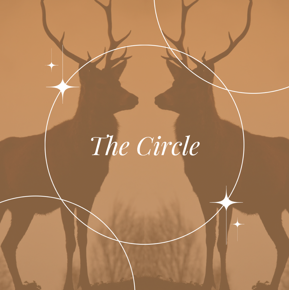 The Circle - kvinnocirkel med energimedicin