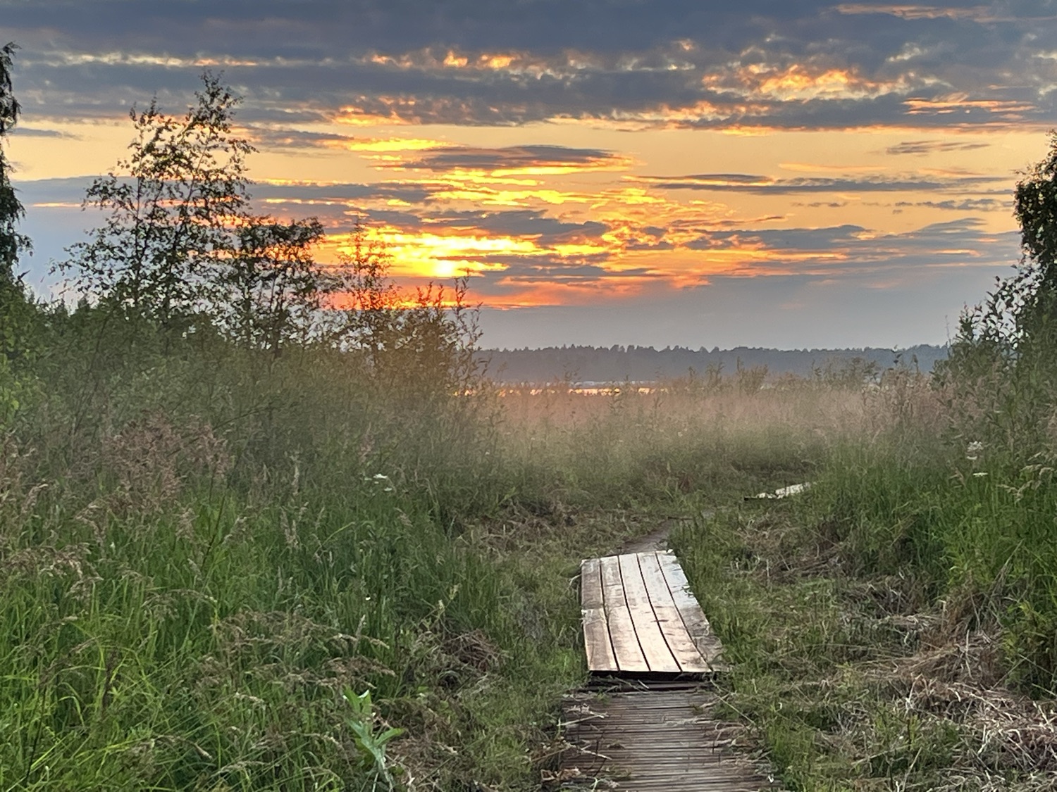 Arctic Soul Sisters present: FROM CLOSING TO CREATION