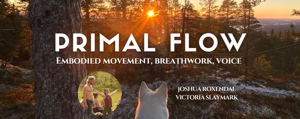 Primal Flow