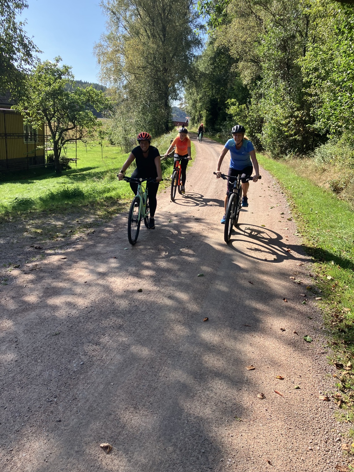 Cykla i grupp (företag/komisgäng)