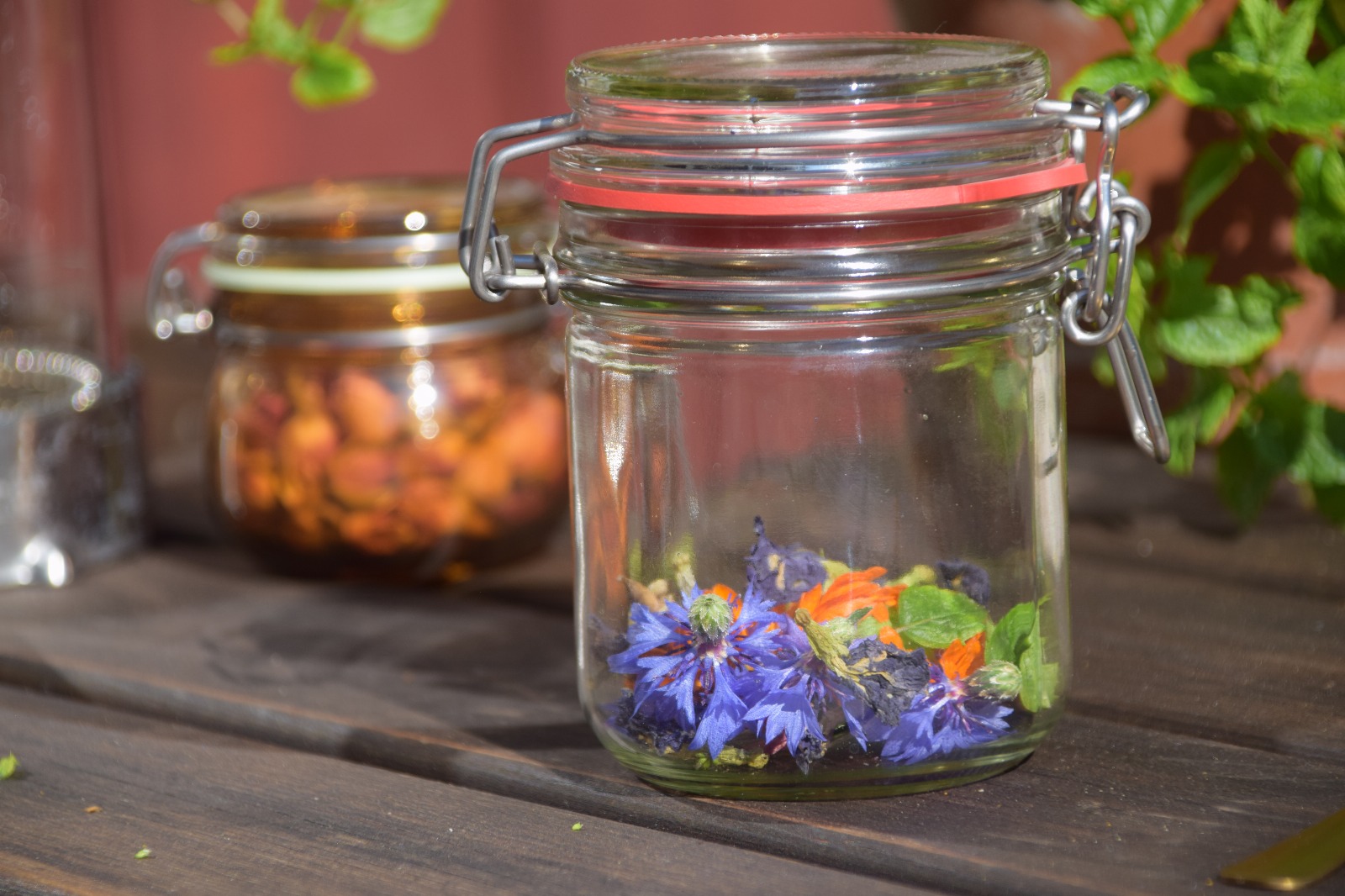 Tea Ceremony | Soft Fika Walk for Women's Health