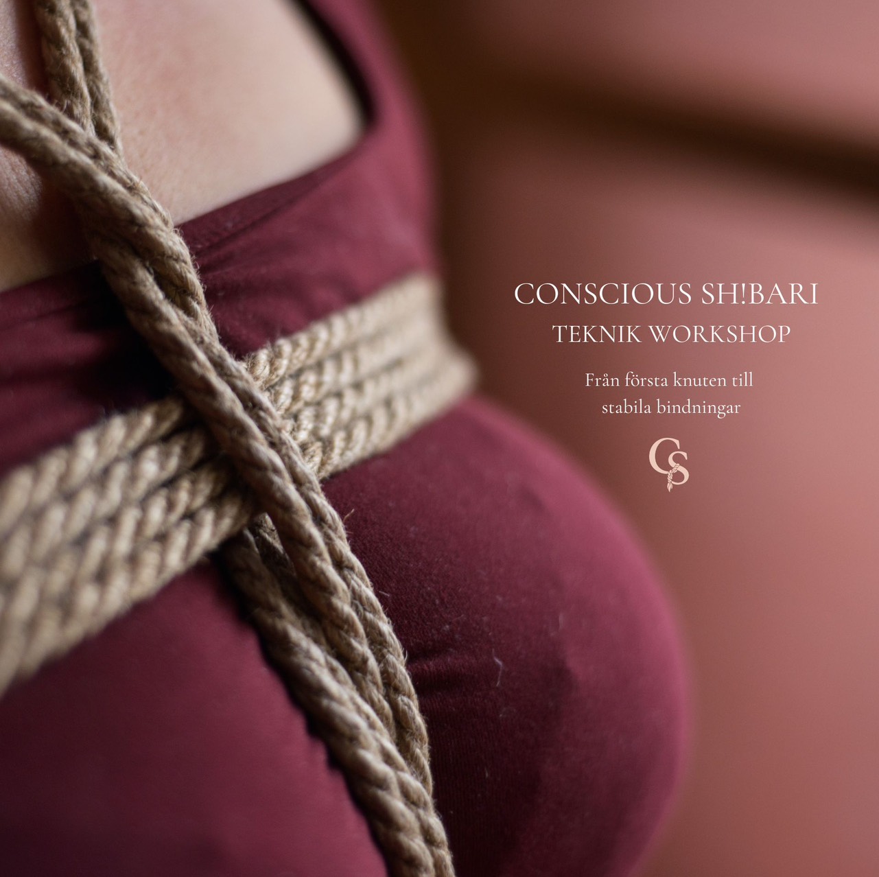 Shibari: Teknik workshop 31/1 (MAN)