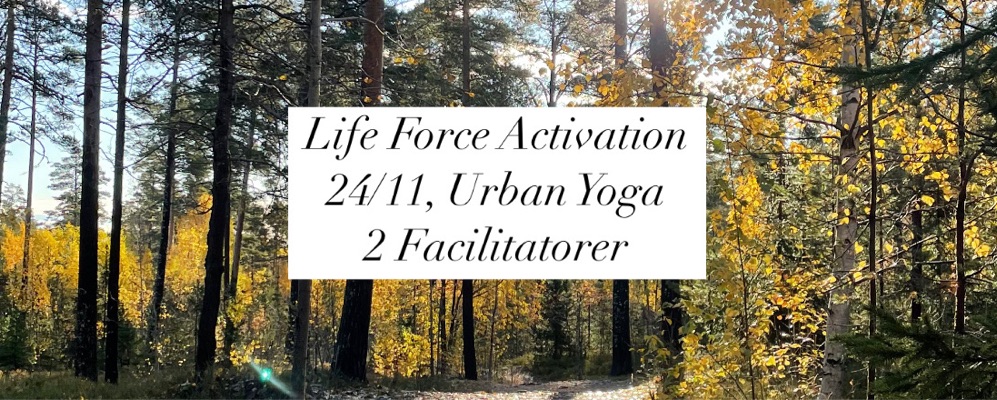 Life Force Activation 24/11 Urban Yoga