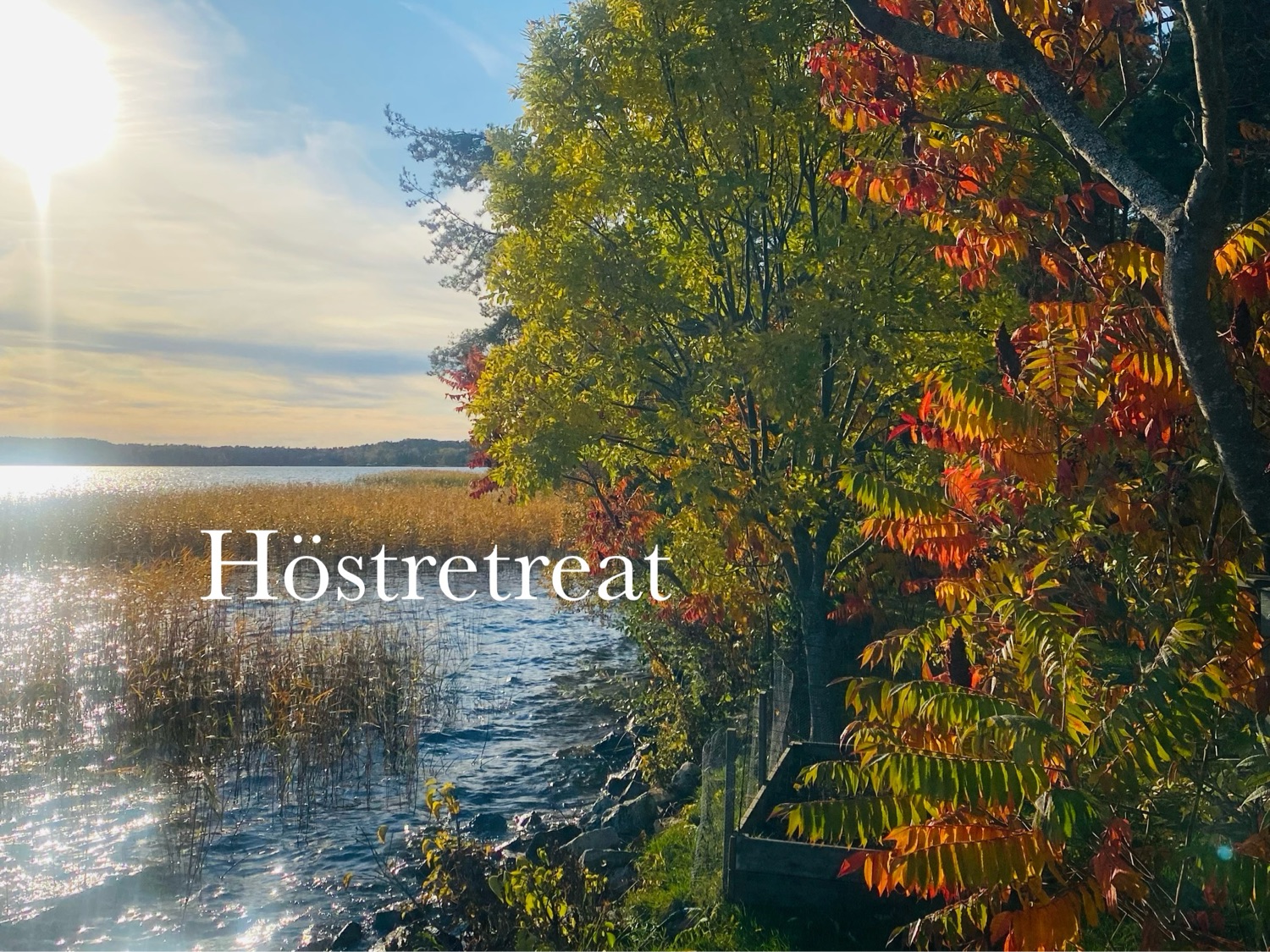 Retreat i rörelse stillhet och närande samtal