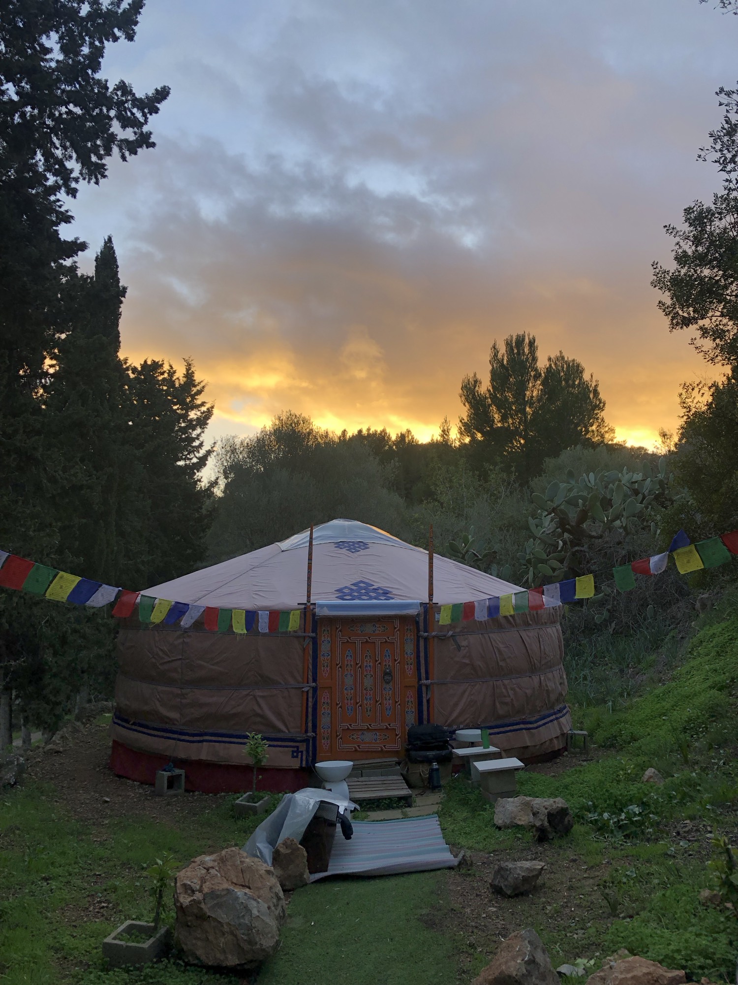 🌸SoulBloom🌸🪷Workshop for opening up Soul Skills