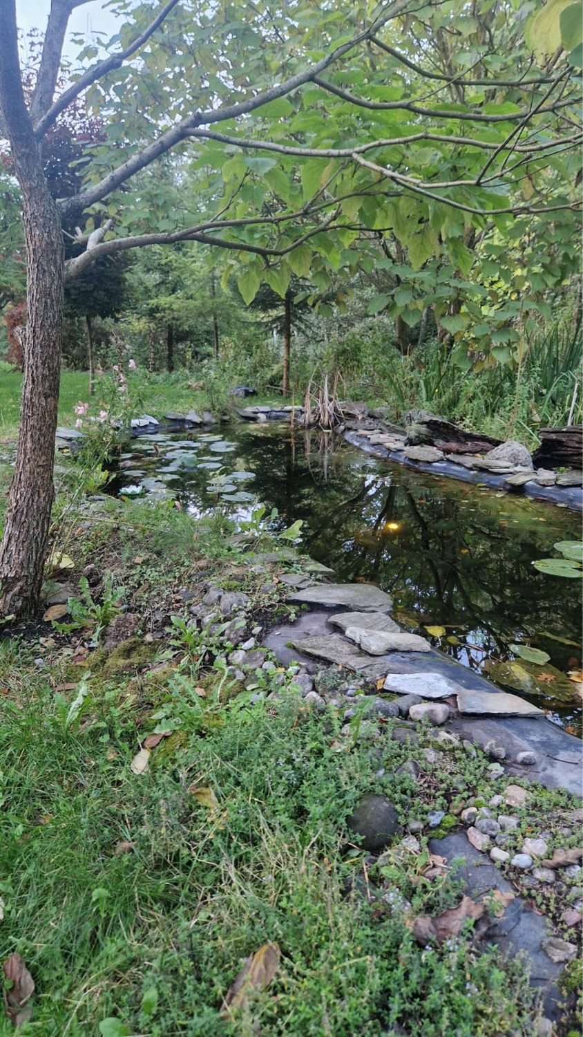 Kundalini Activation Facilitator Training LV1 6-10/5-26