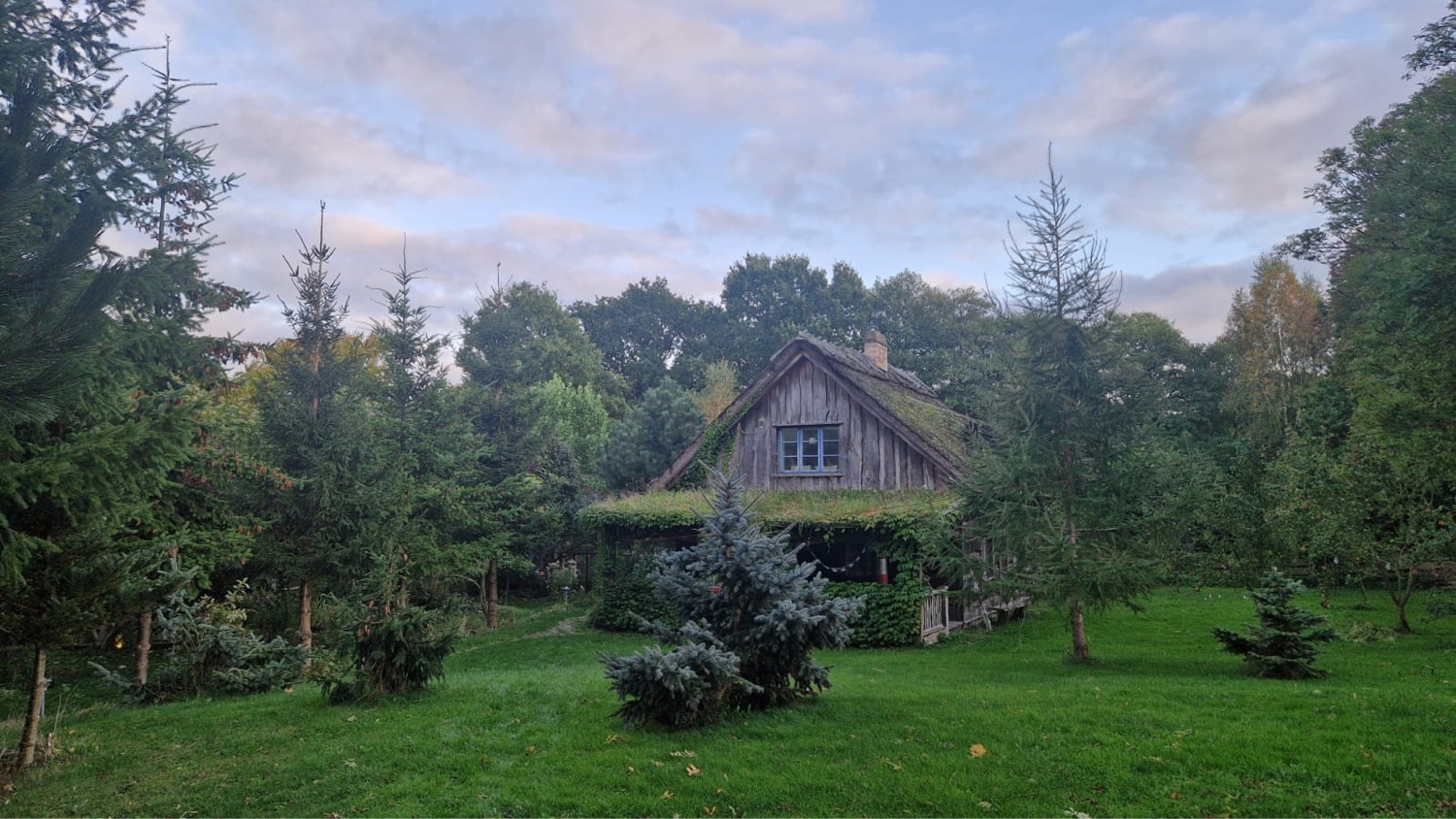 Kundalini Activation Facilitator Training LV1 6-10/5-26