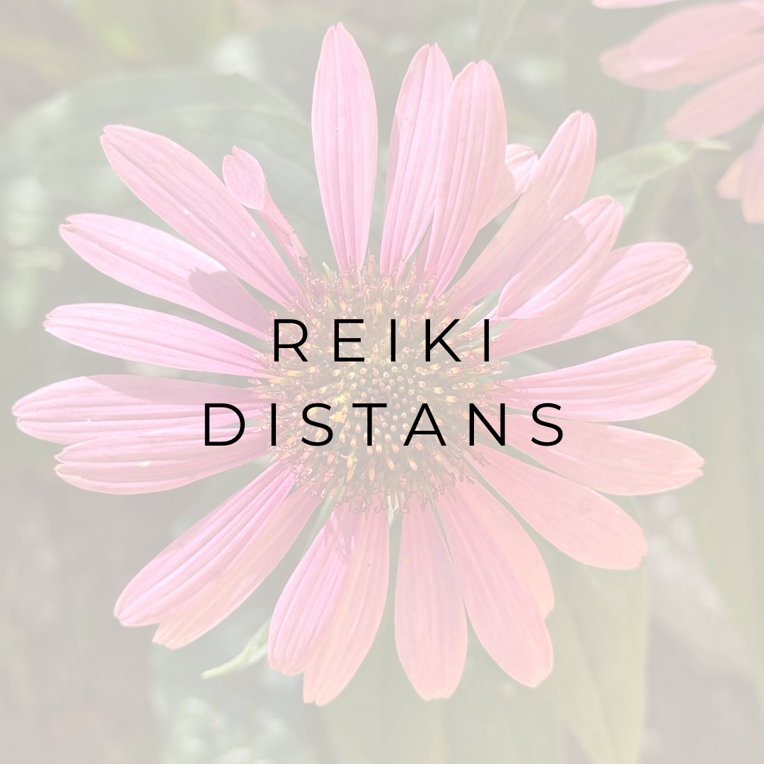 DistansReiki