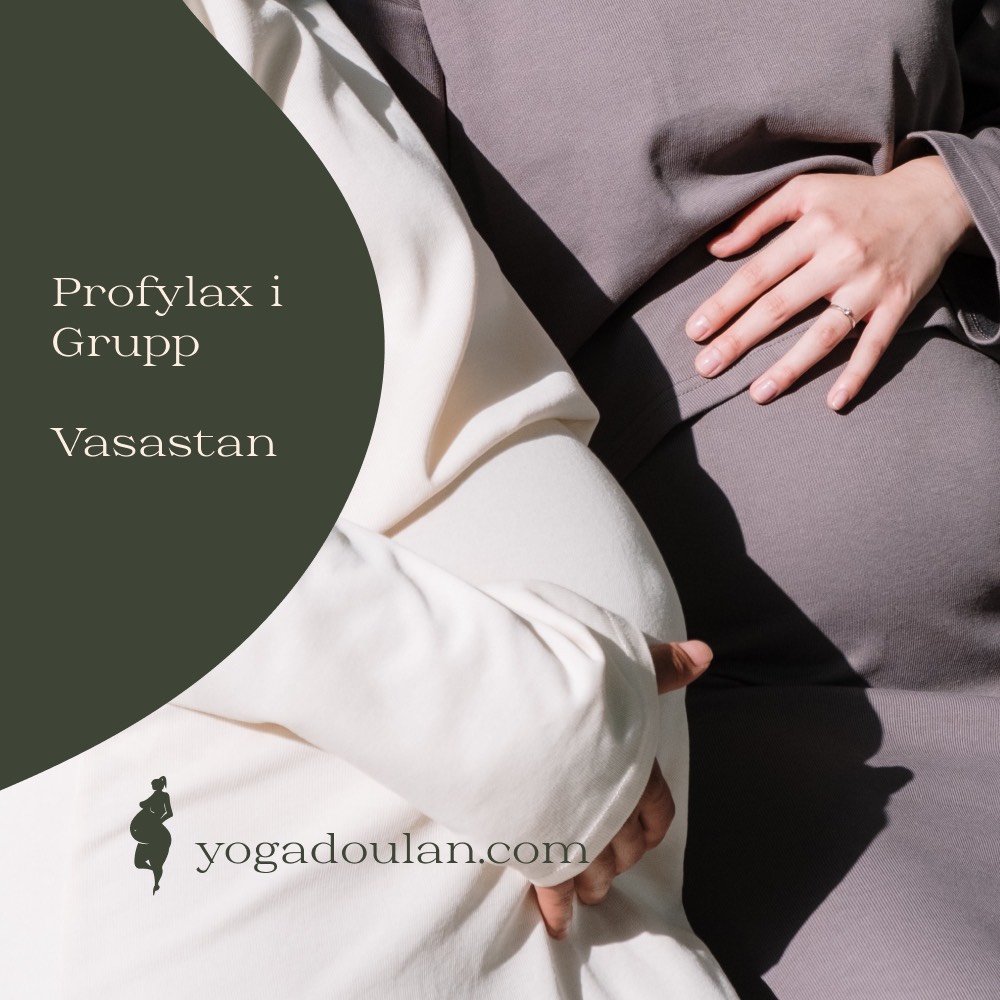 Profylax i Grupp i Vasastan 28:e Maj (obs! Pris för 2 pers)