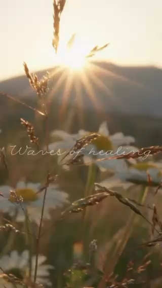 Waves of healing - a magical summer event at Björnbacka
