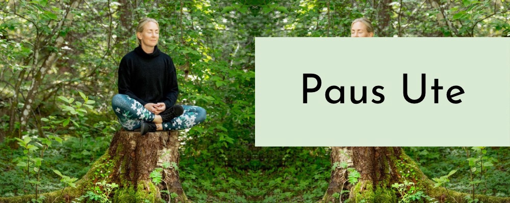 Paus Ute