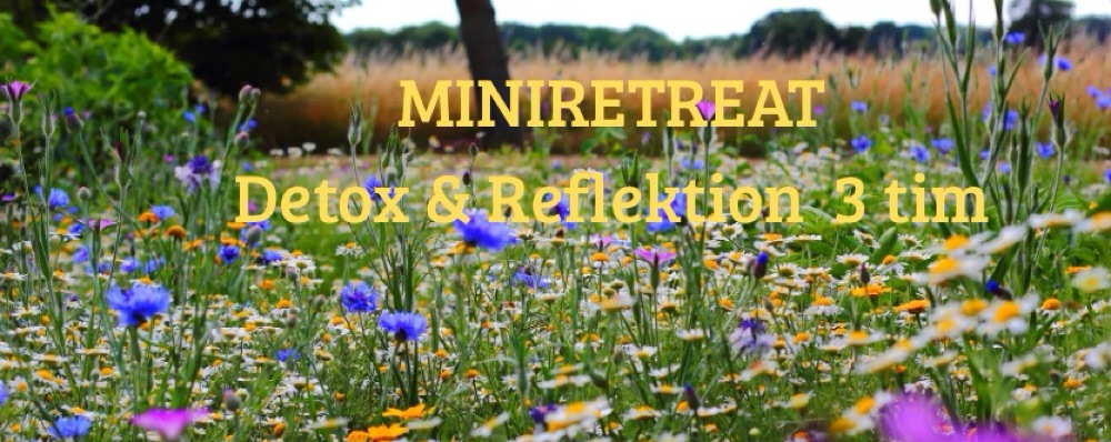 Sommarpris! MINIRETREAT! Detox & Reflektion 3 timmar