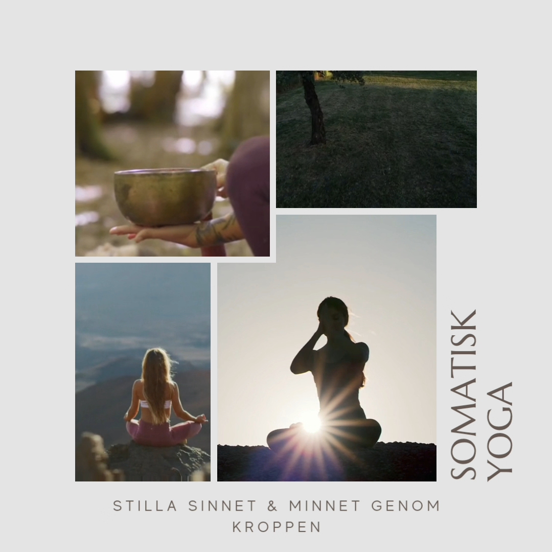 Somatisk Yoga - Drop-in