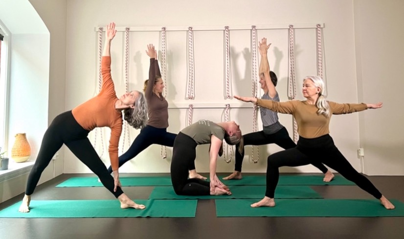 Iyengaryoga