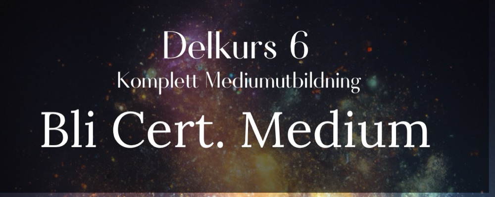 Mediumutbildning delkurs 6 (kull 4)