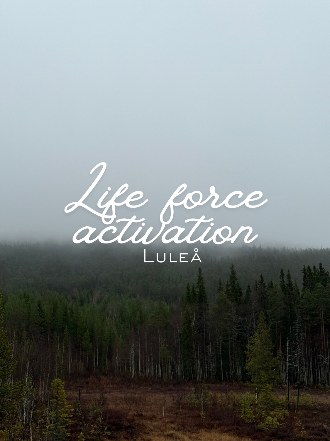 Kakaoceremoni och Life Force Activation - Luleå