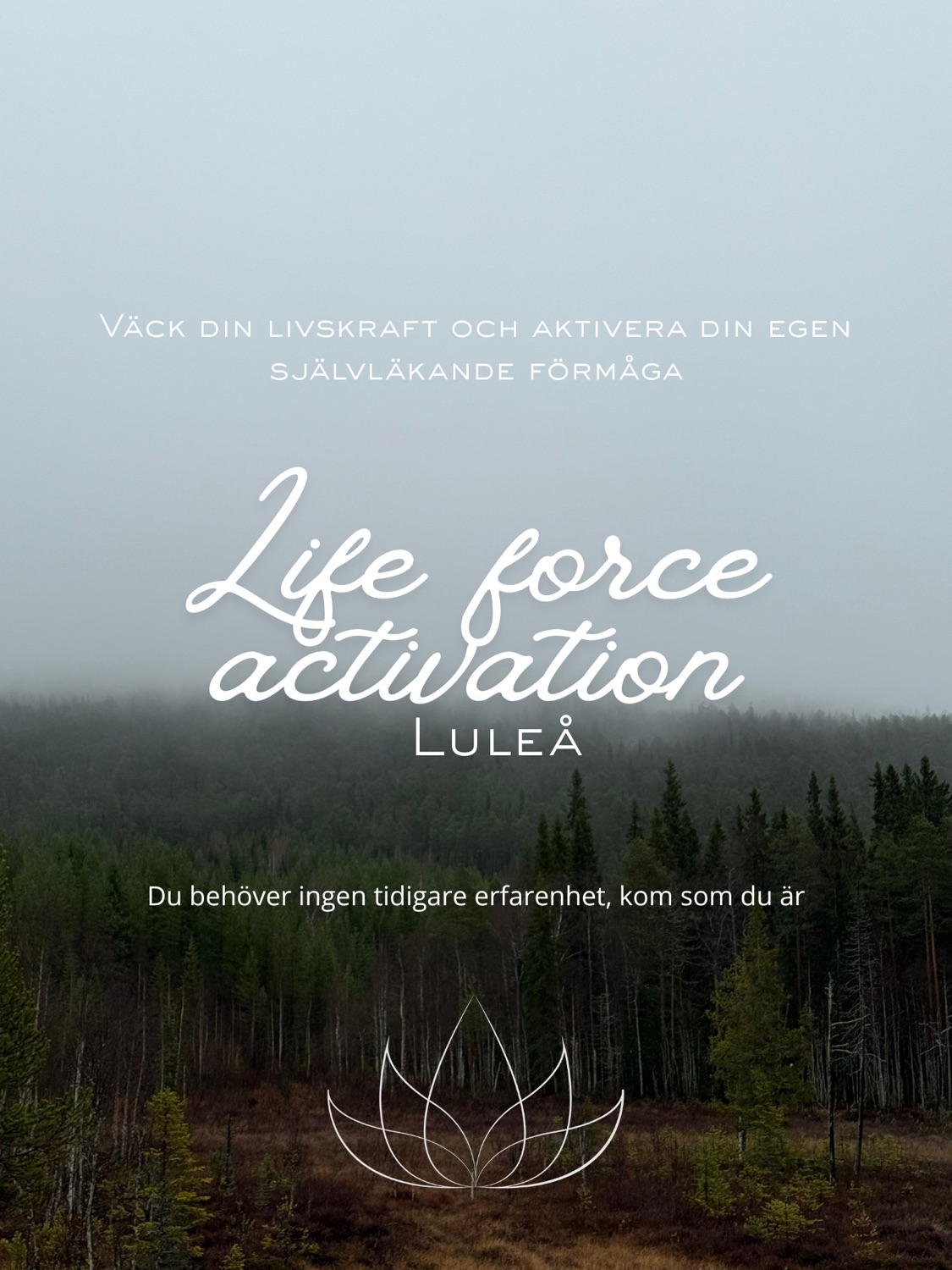 Kakaoceremoni och Life Force Activation - Luleå