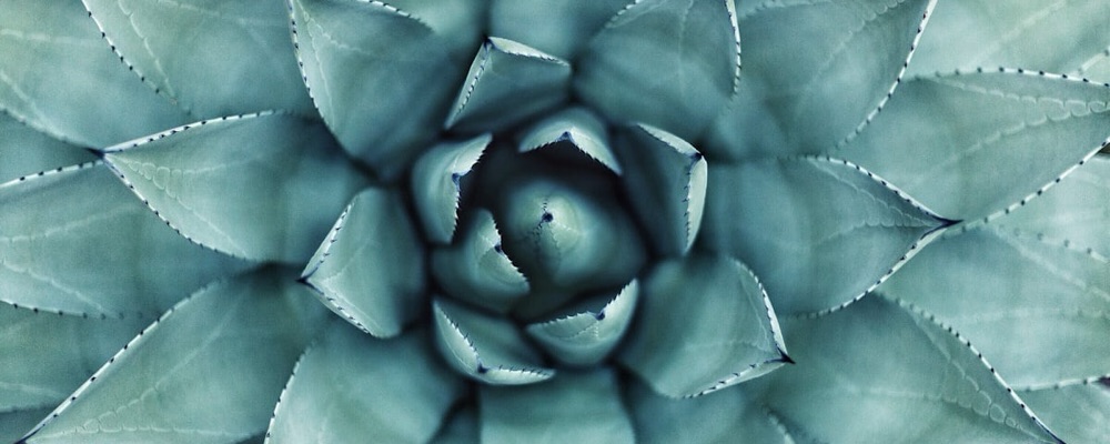 Life Force Activation