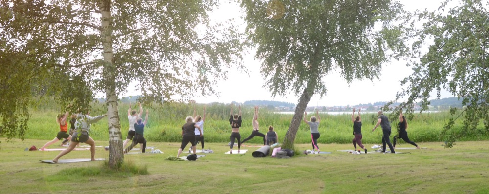 Höstens lunch yoga
