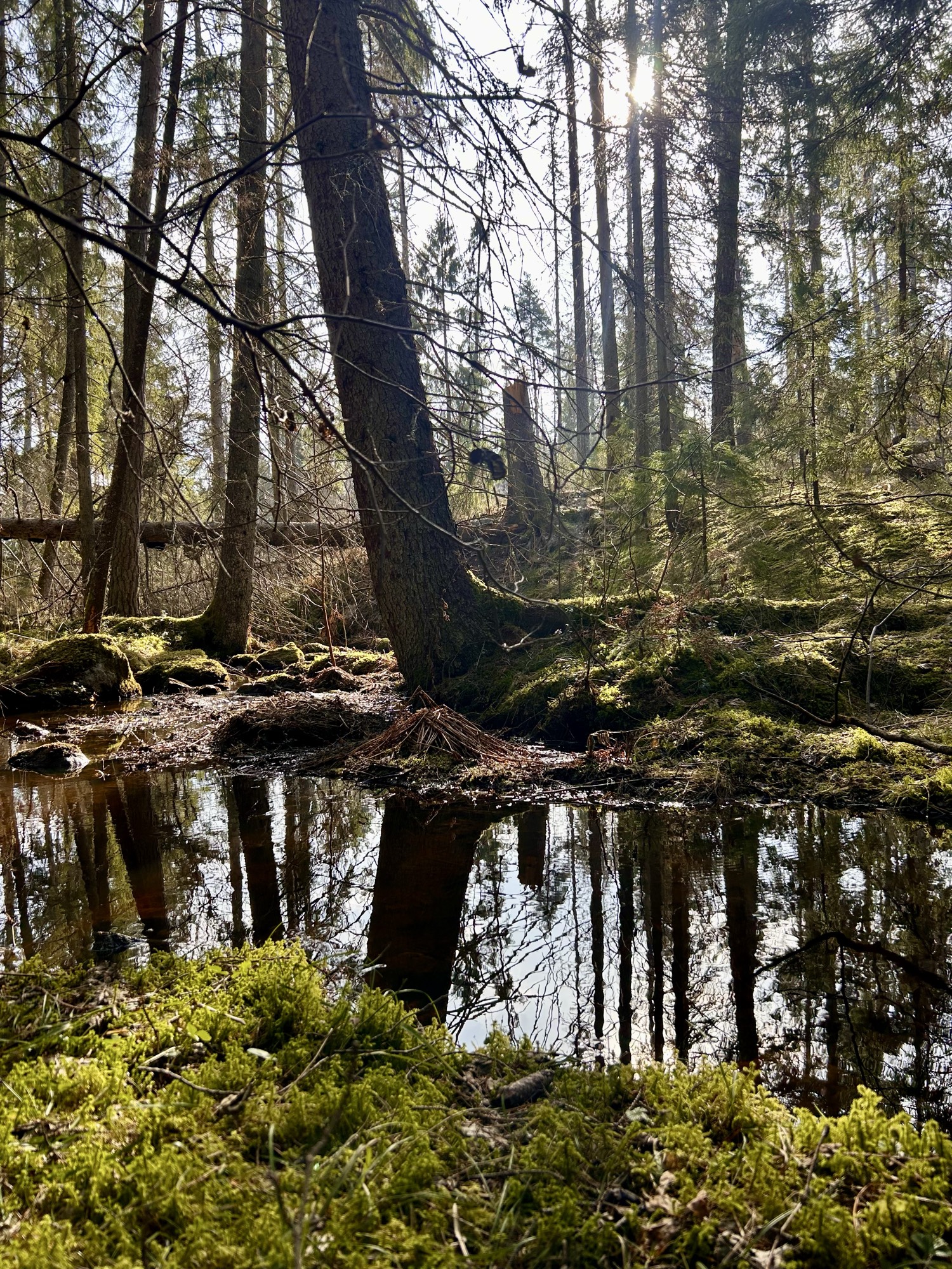 Lär känna samtliga