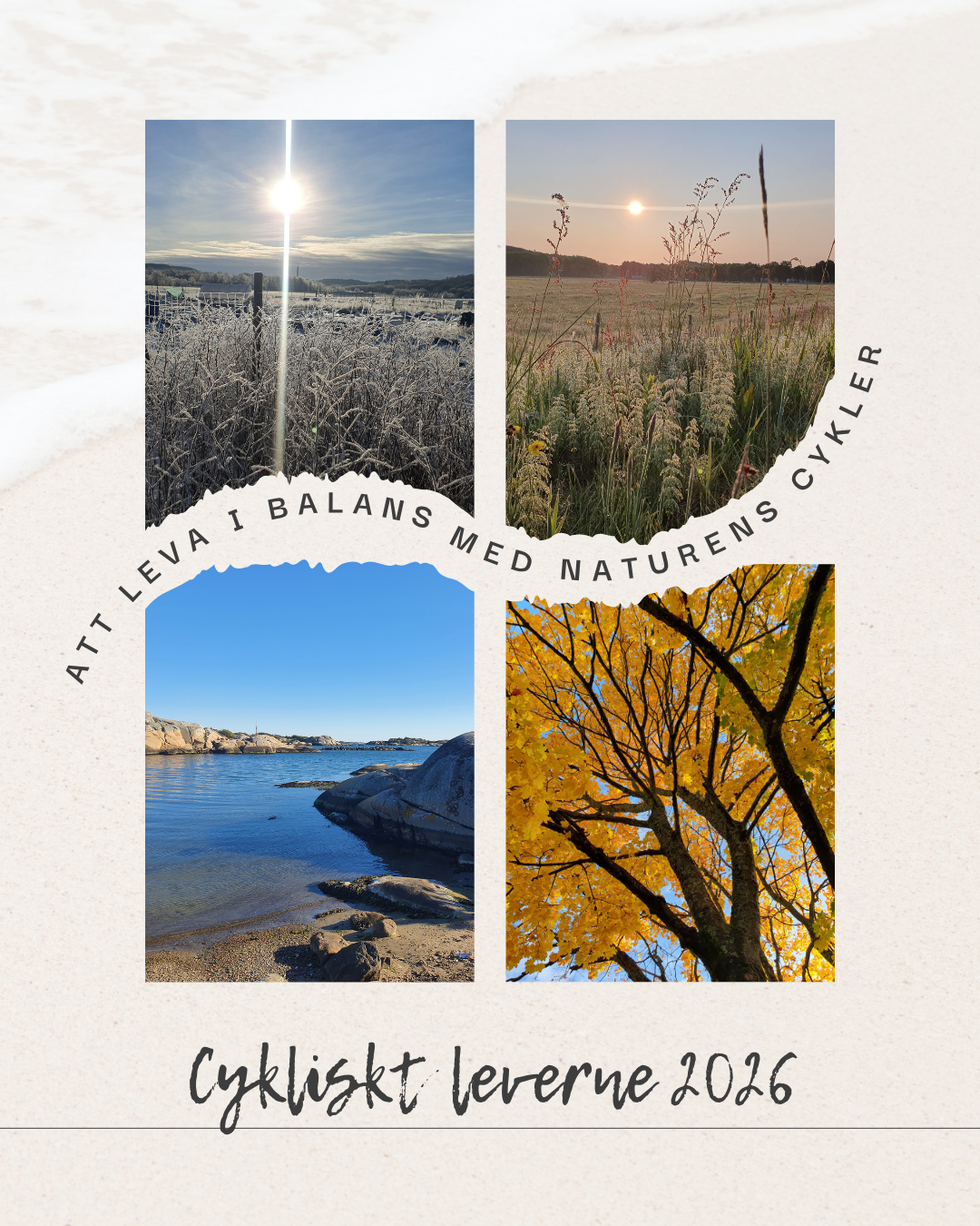 Cykliskt leverne 2026