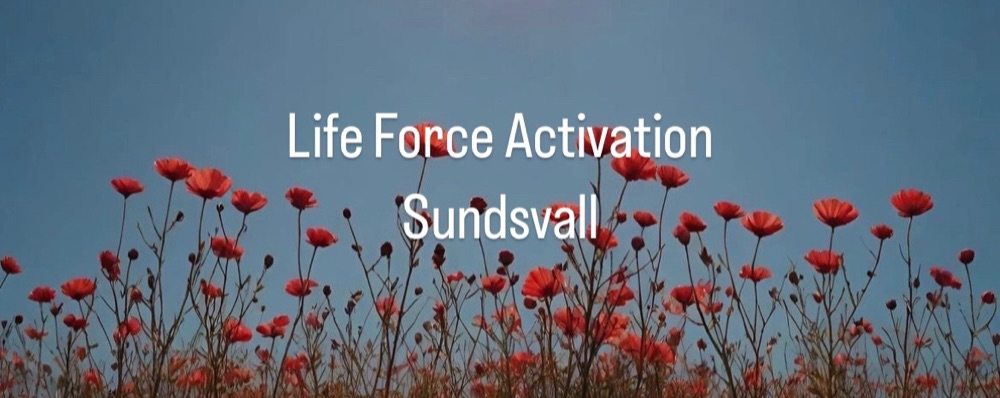 Life Force Activation, 22 Aug kl 19