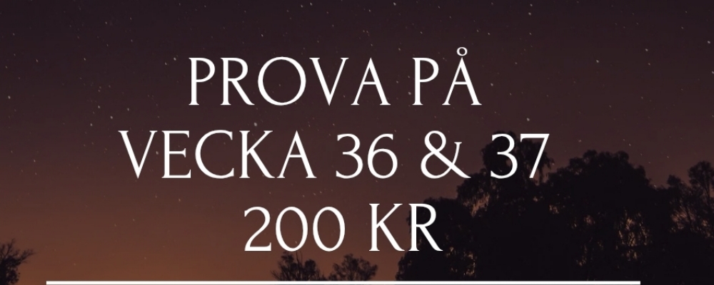 Prova på LÄTT träning + Silent Meditation