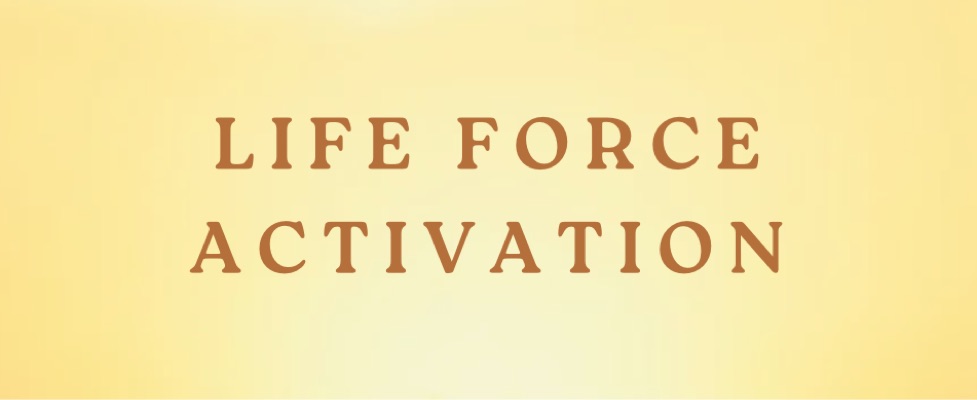 Life Force Activation med Lisen & Petra