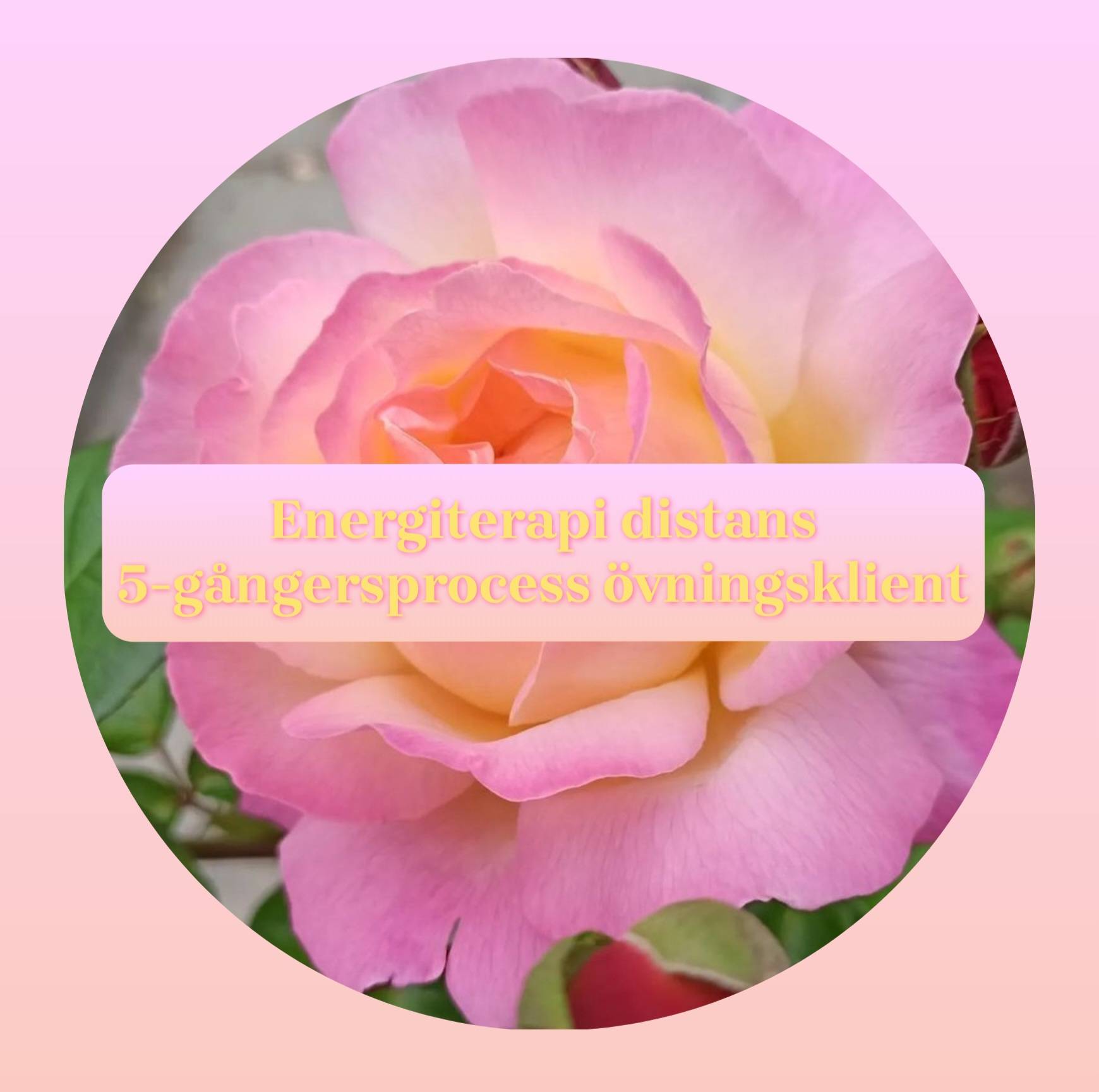 Energiterapi distans 5-gångersprocess övningsklient