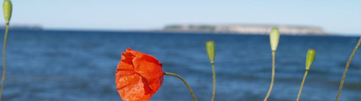 VT26 - VattenYoga Fredag 18 ojämna veckoNR Visby Gotland