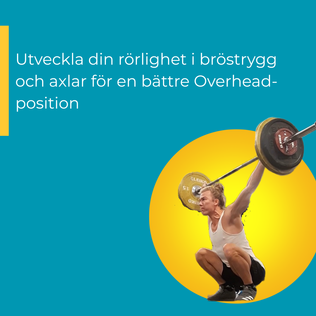 Handstand & Mobility workshop