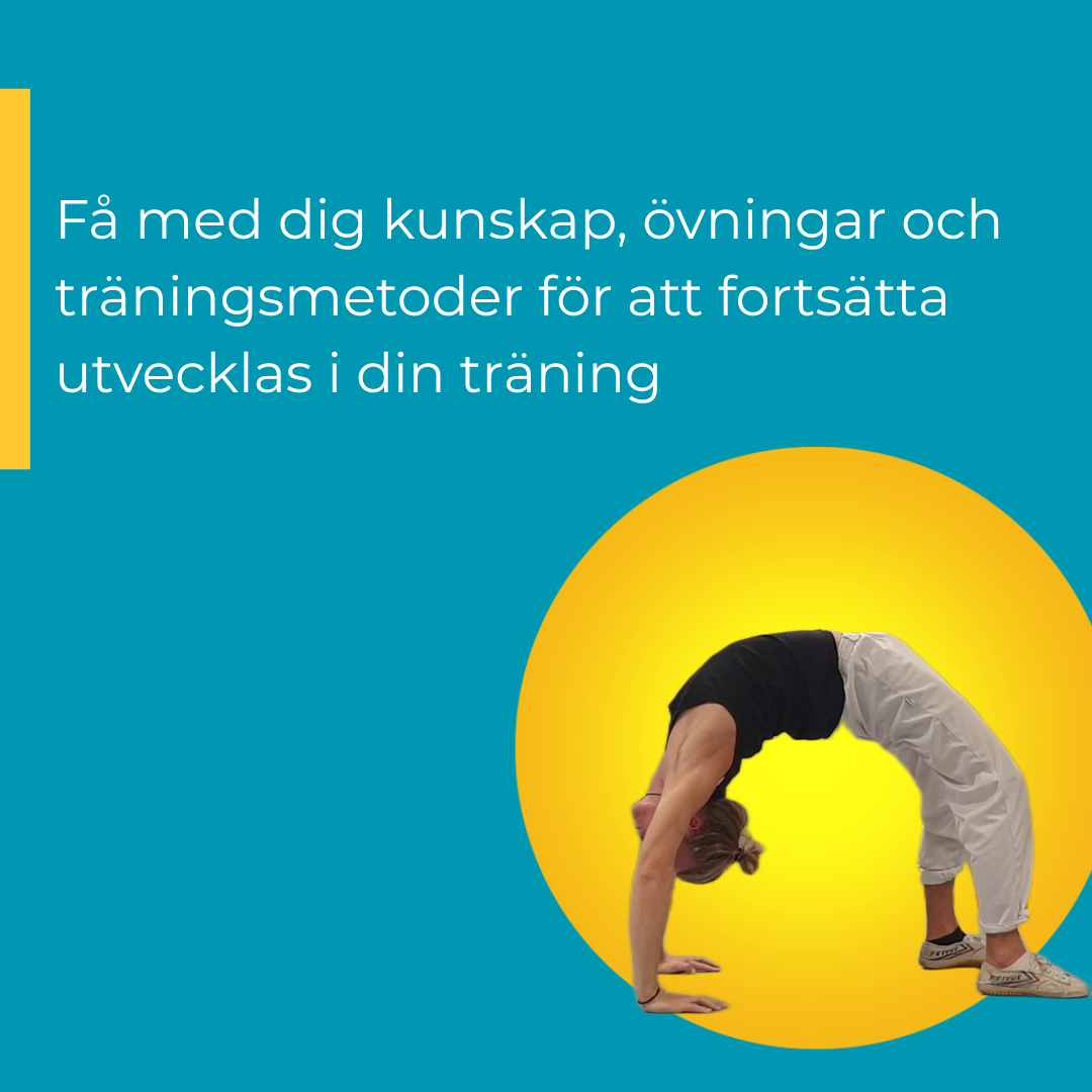 Handstand & Mobility workshop