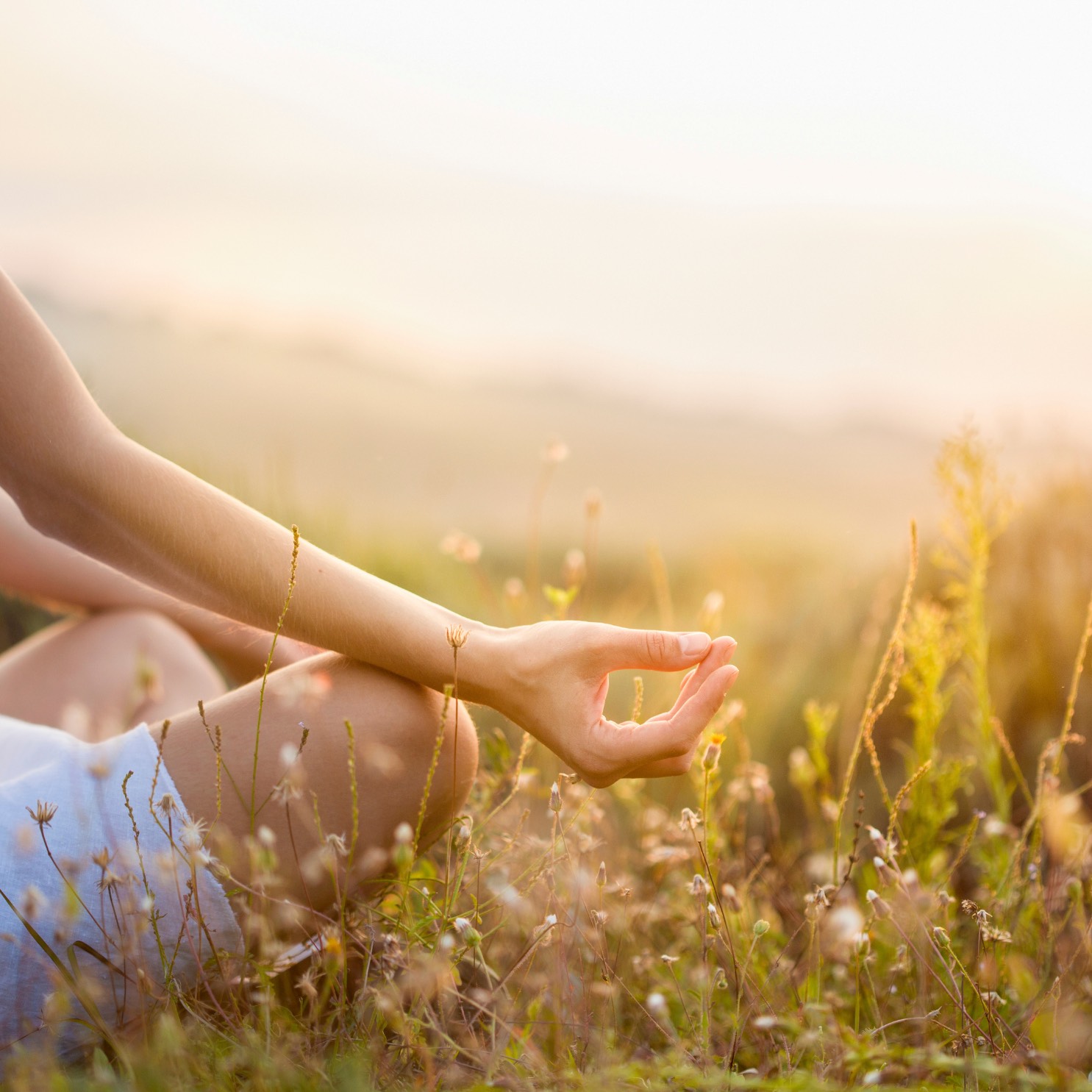Lärare i HormonyYoga, Medicinsk Yoga och Kvinnohälsa