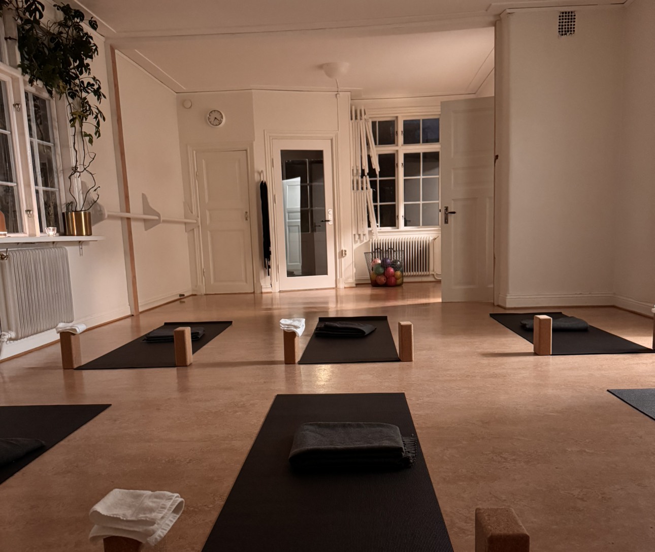 Hatha & Yin – styrka, rörlighet och vila, tis 7ggr