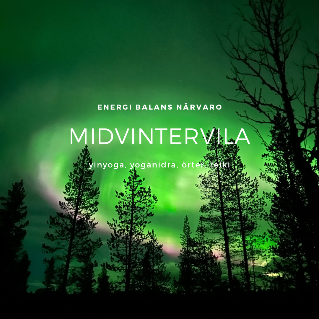 MidvinterVila