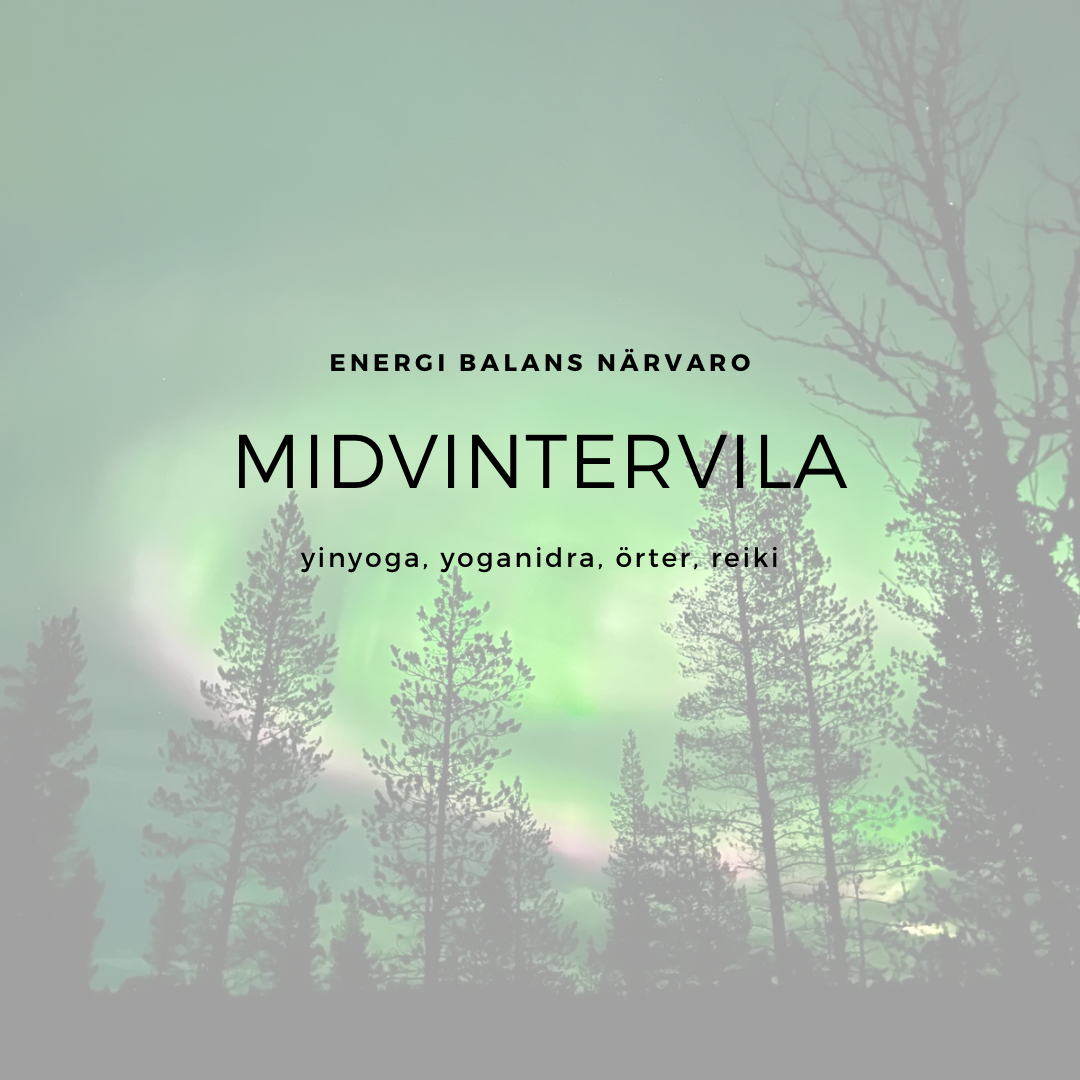 MidvinterVila