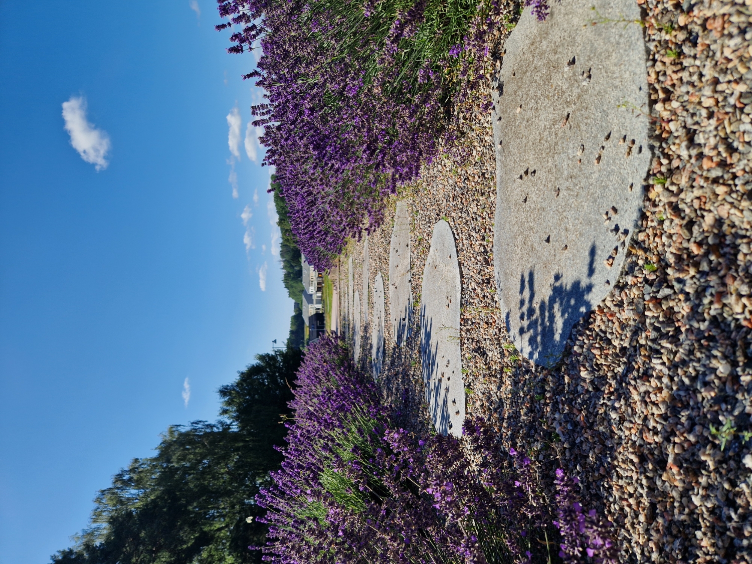 Samtal som förändrar, 60 min