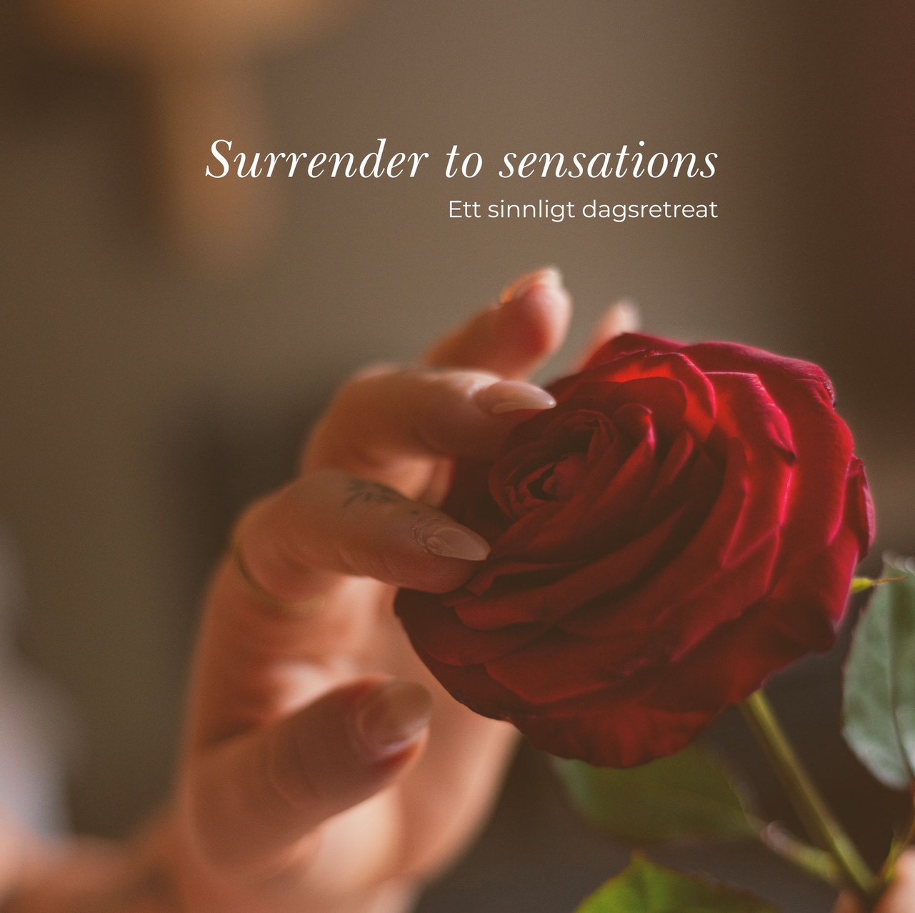 Surrender to sensations dagsretreat 28/2 (MAN)