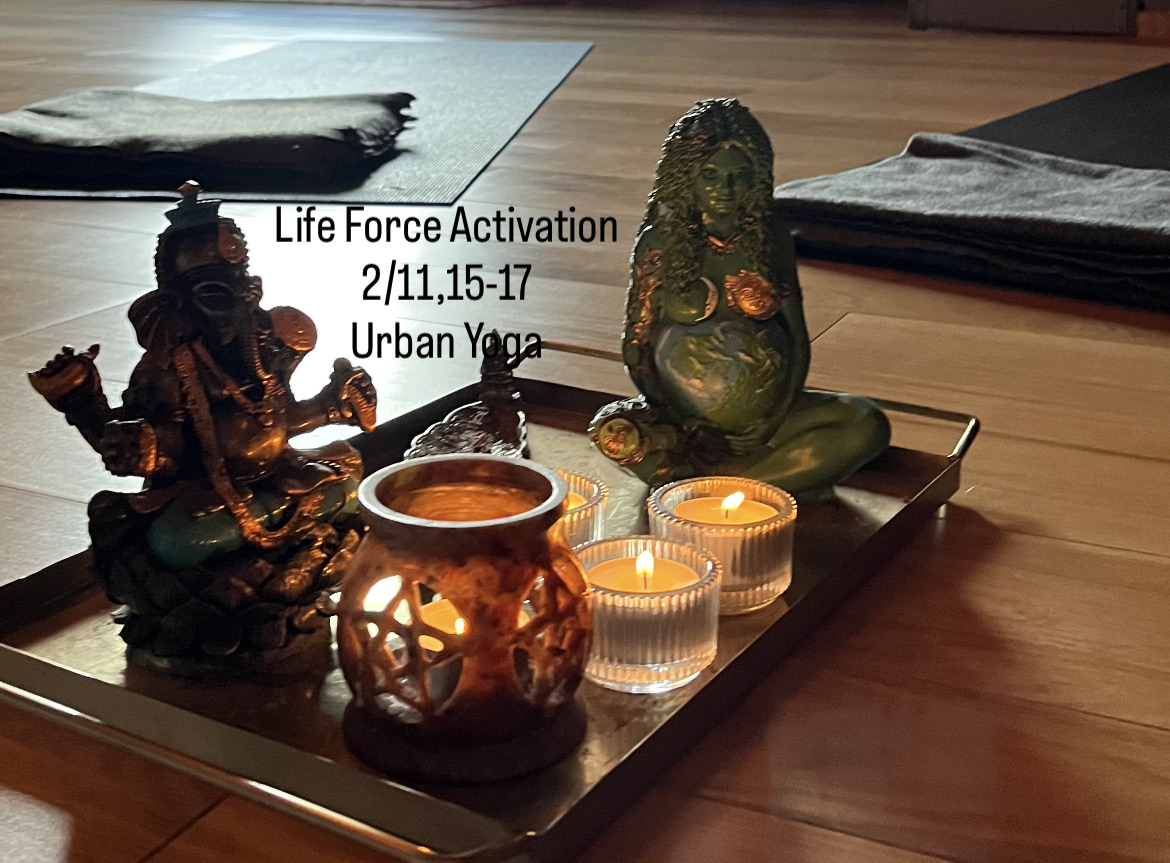 Life Force Activation, LFA