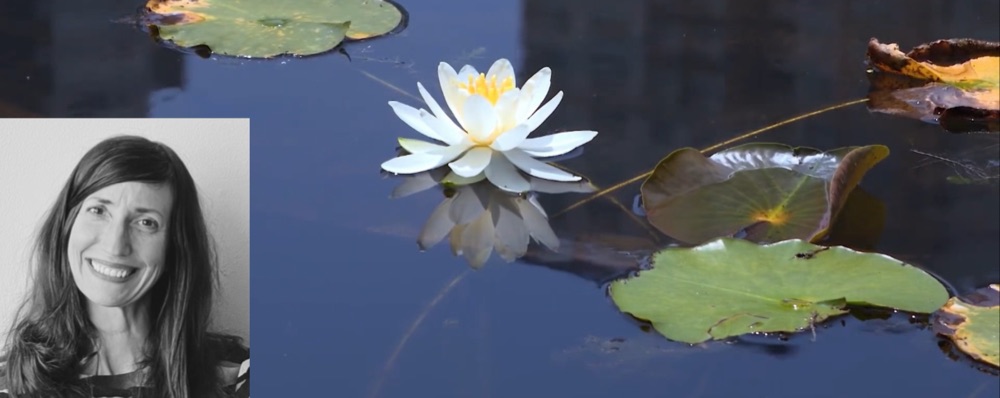 Meditation/yoga/breathwork