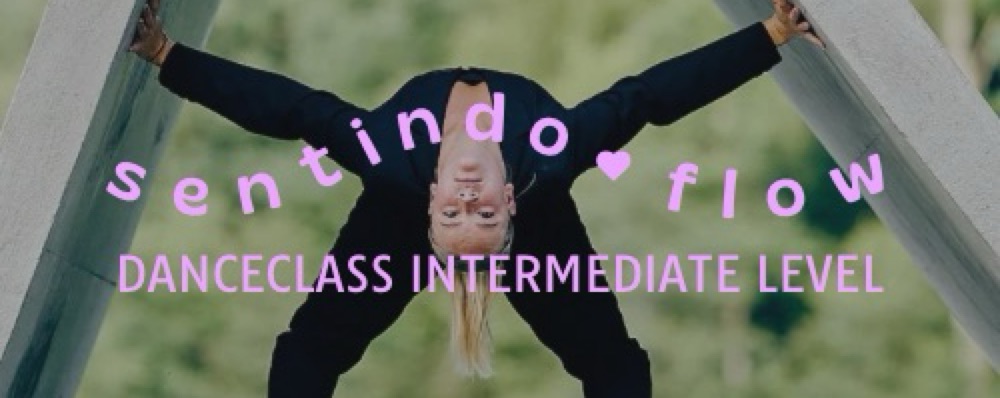 Danceclass Intermediate level [DROP IN]