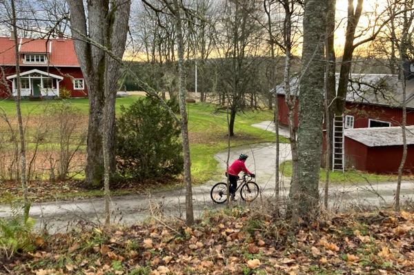 Cykla gravel eller e-bike kring Steneby I Dalsland