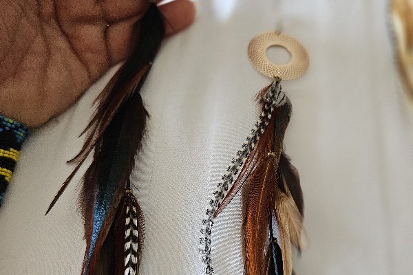Golden swirl feather earrings