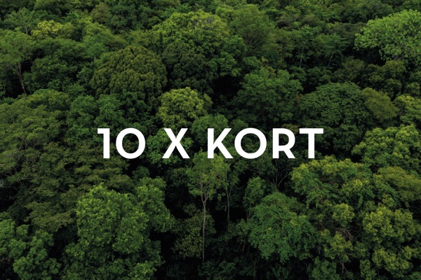 10 x kort