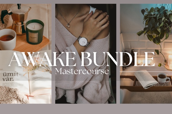 Awake-Bundle: Bli Mästare på att fatta beslut