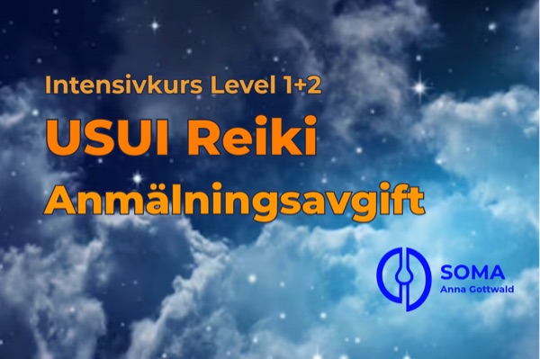 Platsreservering för USUI Reiki kurs (Level 1+2)